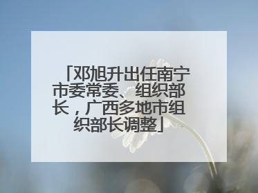 邓旭升出任南宁市委常委、组织部长，广西多地市组织部长调整