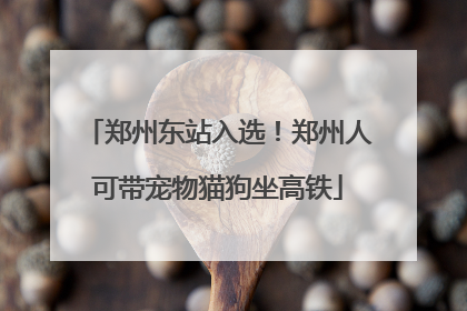 郑州东站入选！郑州人可带宠物猫狗坐高铁