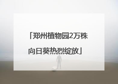 郑州植物园2万株向日葵热烈绽放