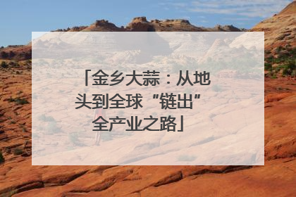 金乡大蒜：从地头到全球“链出”全产业之路