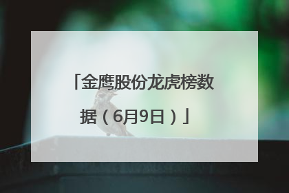 金鹰股份龙虎榜数据（6月9日）