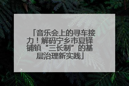 音乐会上的寻车接力！解码宁乡市夏铎铺镇“三长制”的基层治理新实践