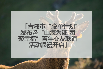 青岛市“脱单计划”发布暨“山海为证 团聚幸福”青年交友联谊活动浪漫开启