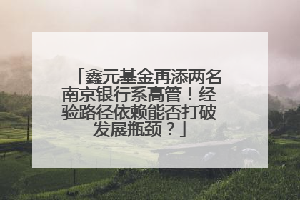 鑫元基金再添两名南京银行系高管！经验路径依赖能否打破发展瓶颈？
