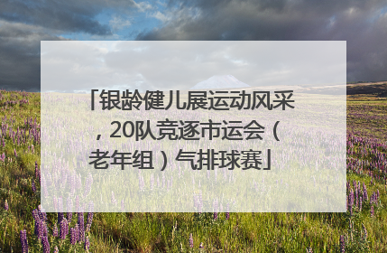 银龄健儿展运动风采，20队竞逐市运会（老年组）气排球赛