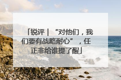 锐评｜“对他们，我们要有战略耐心”，任正非给谁提了醒