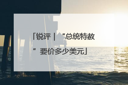 锐评｜“总统特赦”要价多少美元
