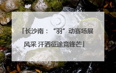 长沙南：“羽”动赛场展风采 汗洒征途竞锋芒
