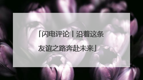 闪电评论丨沿着这条友谊之路奔赴未来