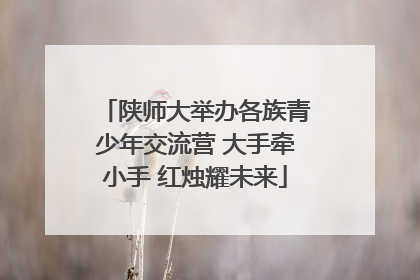陕师大举办各族青少年交流营 大手牵小手 红烛耀未来