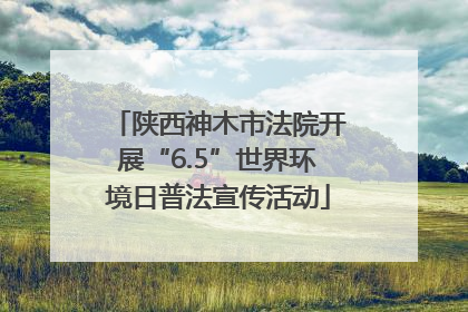 陕西神木市法院开展“6.5”世界环境日普法宣传活动