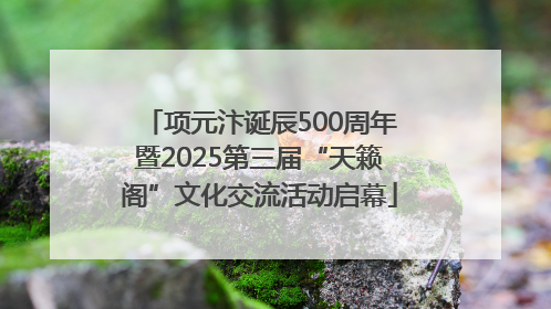 项元汴诞辰500周年暨2025第三届“天籁阁”文化交流活动启幕
