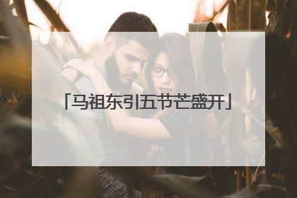 马祖东引五节芒盛开