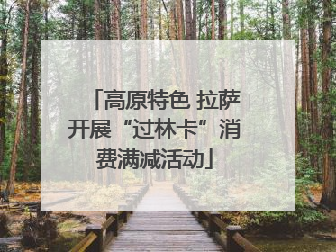 高原特色 拉萨开展“过林卡”消费满减活动