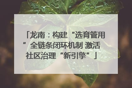 龙南：构建“选育管用”全链条闭环机制 激活社区治理“新引擎”
