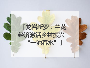 龙岩新罗：兰花经济激活乡村振兴“一池春水”