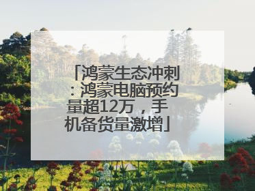 鸿蒙生态冲刺：鸿蒙电脑预约量超12万，手机备货量激增