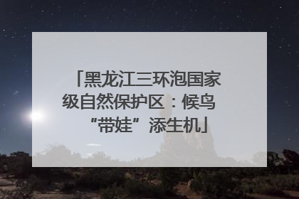 黑龙江三环泡国家级自然保护区：候鸟“带娃”添生机
