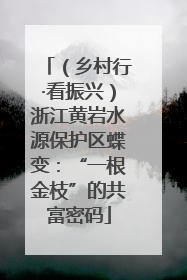 （乡村行·看振兴）浙江黄岩水源保护区蝶变：“一根金枝”的共富密码
