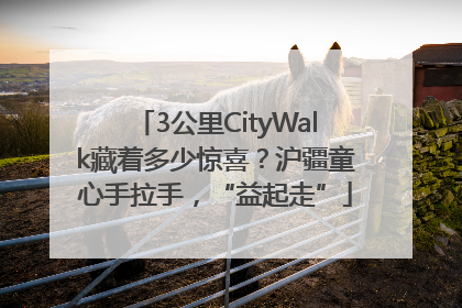 3公里CityWalk藏着多少惊喜？沪疆童心手拉手，“益起走”