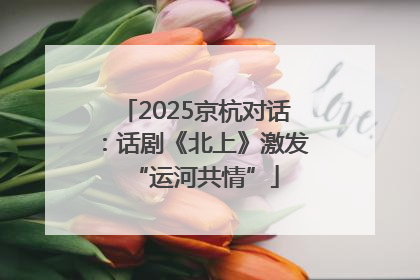 2025京杭对话：话剧《北上》激发“运河共情”