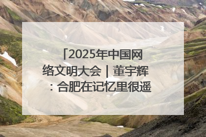 2025年中国网络文明大会｜董宇辉：合肥在记忆里很遥远也很亲切