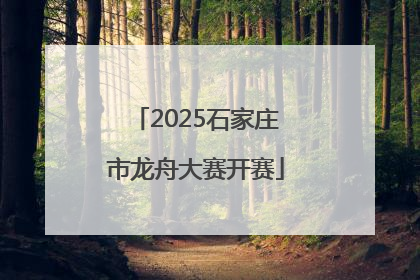 2025石家庄市龙舟大赛开赛
