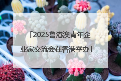 2025鲁港澳青年企业家交流会在香港举办