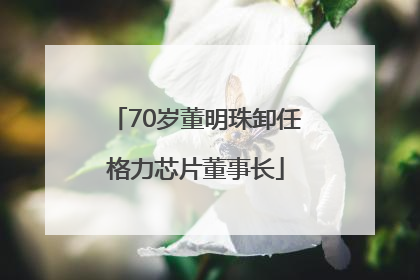 70岁董明珠卸任格力芯片董事长