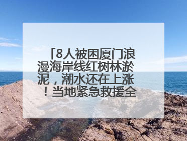 8人被困厦门浪漫海岸线红树林淤泥，潮水还在上涨！当地紧急救援全部脱困